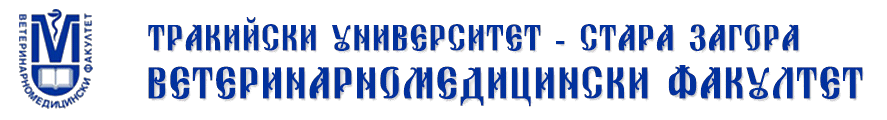Lucid Logo